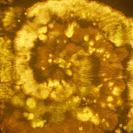 Tie Dye Spiral Background. Gold Artistic Fabric. Heart Watercolor Painting. Tye Die Swirl Kaleidoscope. Hippie Texture. Abstract Circular Style. Cool Batik Pattern. Tie Dye Spiral Background.の写真素材