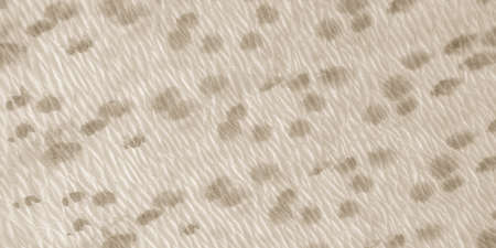 Old Paper Ikad Pattern. Tie Dye Batik Style. Watercolor Abstract Painting. Dirty Art Texture. Ogee Ikat. Tie and Dye Shibori. Paint Watercolour Splatter. Old Paper Dirty Art Drawing.の写真素材