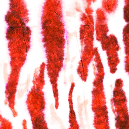 Zebra Stripes. Hand Painted Graphic Sketch. Jungle Camouflage Raster Zoo Background. Red, Pink and Yellow. Wave Trendy Grunge Zebra Print. Watercolor Animal Zebra Stripes.の写真素材