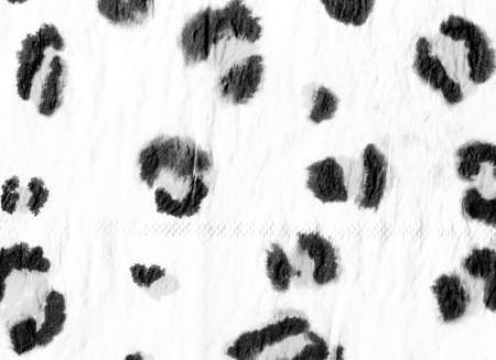 Animal Print Leopard. Zoo African Fashion Animal Wallpaper. Handmade Exotic Texture Design. Black and White Color. Artistic Panther Leather. Watercolor Animal Print.の写真素材