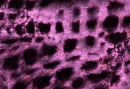 Crocodile Leather. Damaged Handmade Lizard Silhouette. Pink and Black Colors. Rough Predator Animal Ornament. Aged Fabric Design. Crocodile Leather Texture.の写真素材