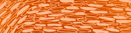 Mark Scribbles Design. Autumn Line Texture. Autumn Random Scrawls. Wave Ink Stroke. Autumn Scribble...