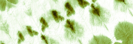 Dyed Pattern. Swamp Crumpled Paper. Moss Abstract Spotted Poster. Paintbrush Artwork. White Texture...