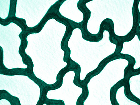 Green Scribble Background. Line Texture. Handmade Scrawls. Brush Strokes. Abstract Background. Green...
