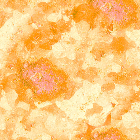 Grungy Vintage Dirty Texture. Rusty Oldの写真素材