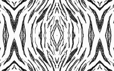 Seamless Zebra Stripes. Abstract Safari Texture. Watercolor Wild Print. Black Camouflage Ornament. Gray Zebra Lines. Fashion Animal Banner. White Cheetah Background. Seamless Zebra Pattern.の写真素材