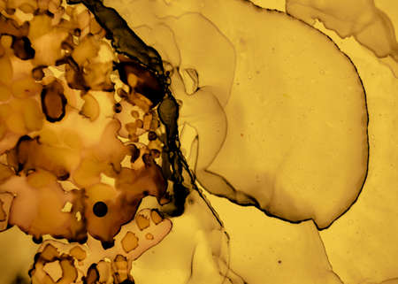 Black and Yellow Abstract Marble Texture. Dark Flow Wallpaper. Watercolor Liquid Canvas. Creative Ink Splash. Abstract Acrylic Surface. Gold Fluid Background. Black and Yellow Abstract.の写真素材