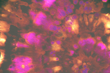 Watercolor Light Design. Psychedelic Tie Dye. Hippie Circle Pattern. Colorful Artistic Fabric. Tye...