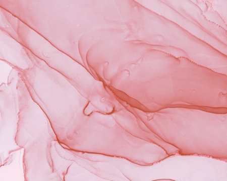 Gentle Pink Marble. Abstract Illustration. Ink Flow Texture. Acrylic Wall. Spring Fluid Painting. Alcohol Luxury Marble. Rose Wallpaper. Art Gradient Pattern. Ethereal Liquid Marble.の写真素材