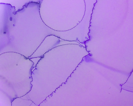 Ethereal Paint Pattern. Alcohol Ink Wave Wallpaper. Lilac Abstract Spots Splash. Alcohol Inks Flow Design. Ethereal Art Texture. Liquid Ink Wave Wallpaper. Mauve Ethereal Art Pattern.の写真素材