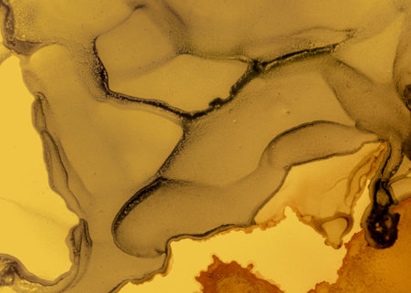 Black and Yellow Abstract Acrylic Surface. Rock Flow Wallpaper. Watercolor Liquid Effect. Grunge Ink Splash. Abstract Acrylic Backdrop. Gray Flow Background. Black and Yellow Abstract.の写真素材