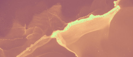 Ink Gold Surface. Brown Luxury Effect. Orange Heat Molten Abstraction. Red Artistic Mineral. Ink...