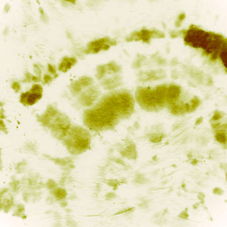 Tie Dye Circular. Color Watercolor Patterns. Abstract Art Backdrop. Green Tie Die Dress. Circle Batik Roll. Hippie Artistic Print. Love Swirl Background. Spiral Painting. Tie Dye Circular.の写真素材