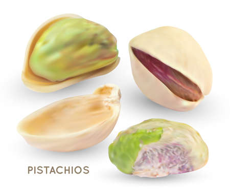 Vector pistache nuts without shell. Realistic 3d kernel. Green pistachio isolated on white background. 3d snack illustration.のイラスト素材