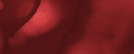 Grunge Blood Background. Red Ink Banner.の写真素材