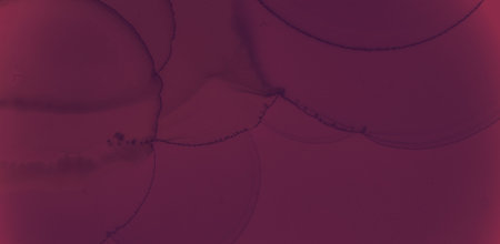 Color Wine Splash. Watercolor Maroon Texture.