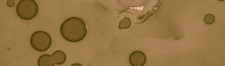 Abstract Coffee Stains. Liquid Brown Pattern.