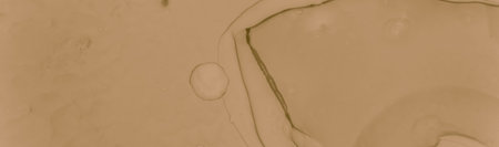 Beige Coffee Splash. Liquid Brown Texture.
