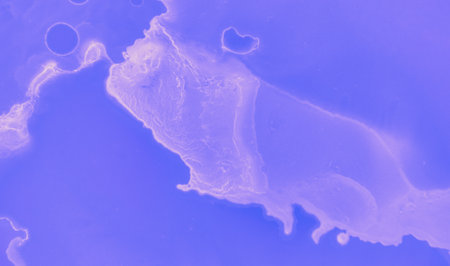 Abstract Fluid Gradient. Pink Futuristic Minimalの写真素材