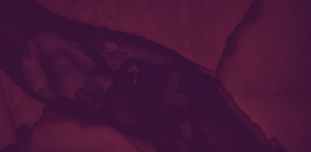 Color Wine Splash. Watercolour Winery Template.の写真素材