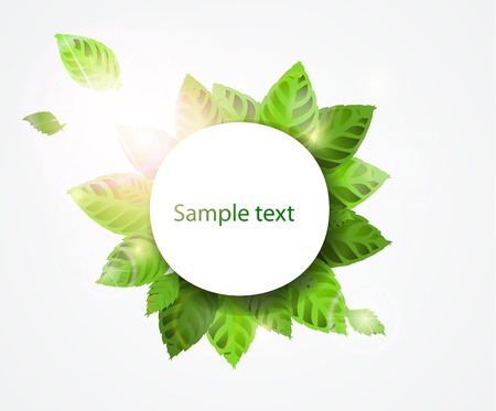 Vector green leaf round bannerのイラスト素材