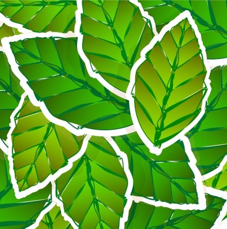 Green leaves background. Paper styleのイラスト素材