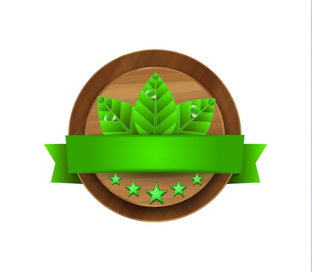 Vector green leaves wooden badgeのイラスト素材