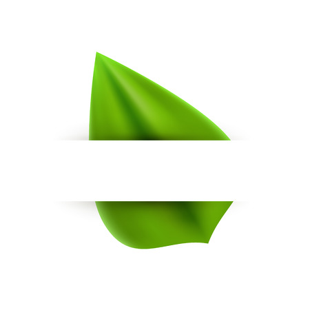 Green realistic leaf paper banner abstract background designのイラスト素材