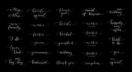 Wedding calligraphy invitation and reception seating design elementsのイラスト素材