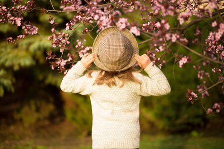 Back view of adorable little girl in hat walk in blossom tree garden on sunsetの写真素材