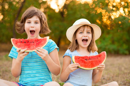 Two preschool smiling child sister sit with crossed legs on grass and eating watermelon at summer park with sunset lightの写真素材