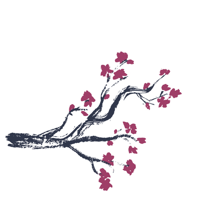 Isolated Sakura blossomのイラスト素材
