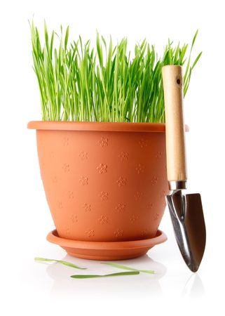green grass in the pot with shovel tool isolated on white backgroundの写真素材