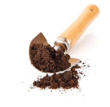 ground in the small shovel isolated on white backgroundの写真素材