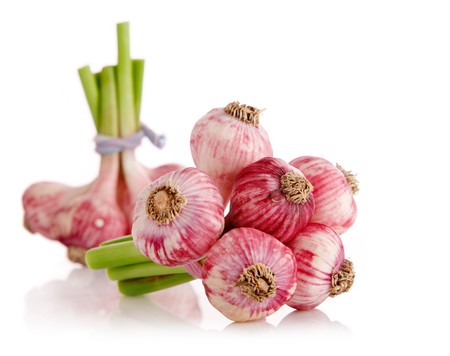 fresh garlic fruits in the bunch isolated on white backgroundの写真素材