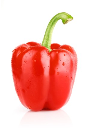 fresh single pepper fruit isolated on white backgroundの写真素材