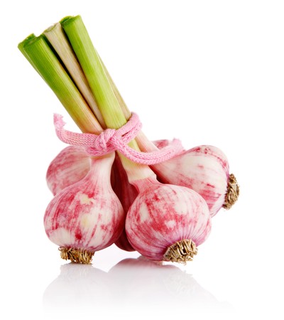 fresh garlic fruits in the bunch isolated on white backgroundの写真素材