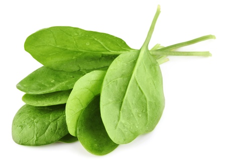 green leaves of spinach isolated on white background green leaves of spinach isolated on white background