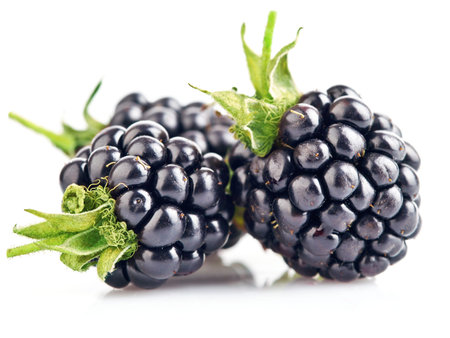 fresh berry blackberry with green leaf isolated on white background