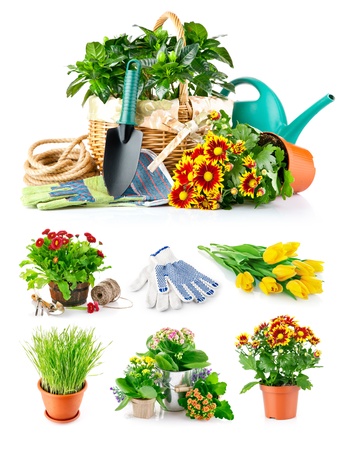 set spring flower with garden tool isolated on white backgroundの写真素材