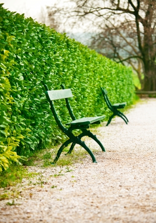 bench in park on road with green bushesの写真素材