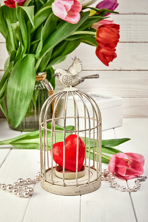 Red heart in iron cage with spring flower tulip on white wooden board rustic and vintage style concept for valentines day.の写真素材