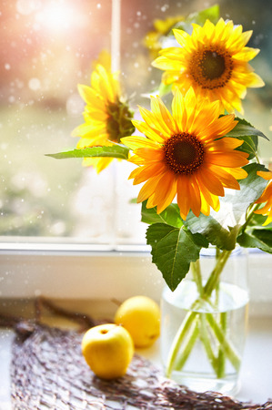 Bouquet sunflowers on sunny window Summery still life with apple windowsill.の写真素材