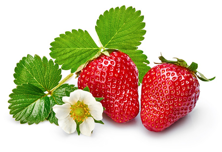 Strawberries with green leaf and flowersの写真素材