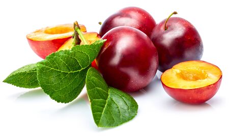 Fresh plum in cut with green leaf. Fruity still life.の写真素材
