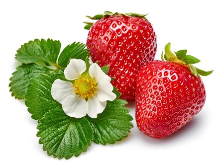Strawberries with green leaf and flowers, isolated on whiteの写真素材
