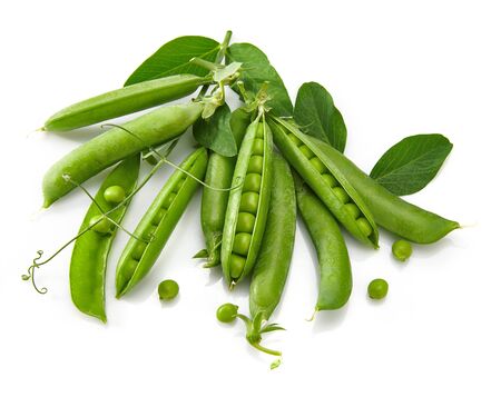 Green peas with twig leaf and pods.の写真素材