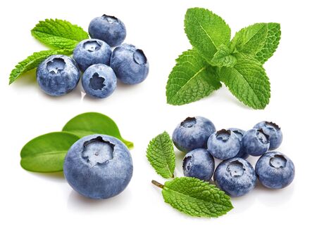 Set Berry Blueberry with Leaf mint. Fruity Still Life for Packing.の写真素材