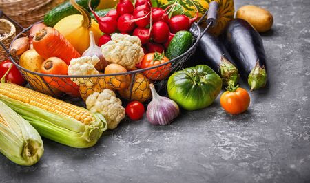 Harvest vegetables with herb kitchen garden on grey concrete surface top view.の写真素材