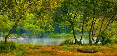 Glade with trees in forest at bank river. Picturesque landscape autumn.の写真素材